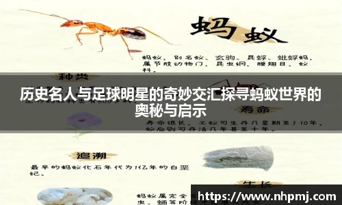 历史名人与足球明星的奇妙交汇探寻蚂蚁世界的奥秘与启示